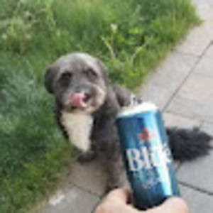 Meet your Posher, Waldo